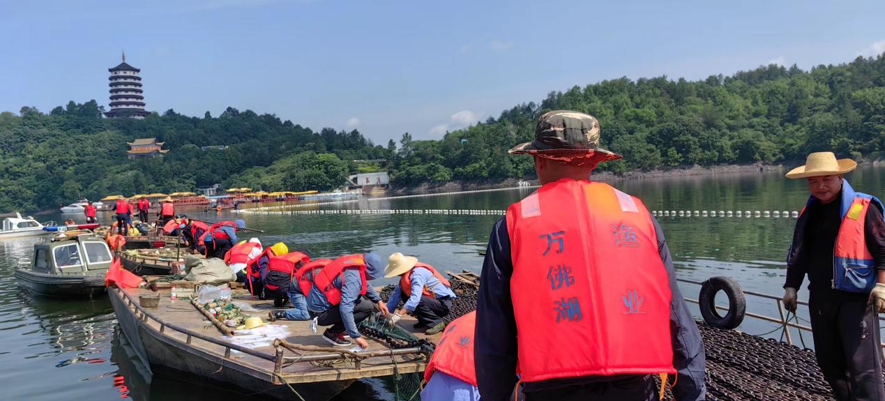 保水凈水—萬佛湖漁業(yè)公司更換大水面三處攔魚設施