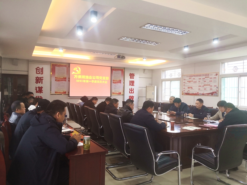 公司黨支部召開2022年度組織生活會(huì)和民主評(píng)議黨員會(huì)議